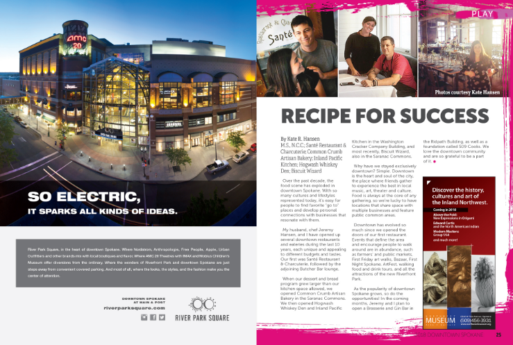 The DSP Internal Page